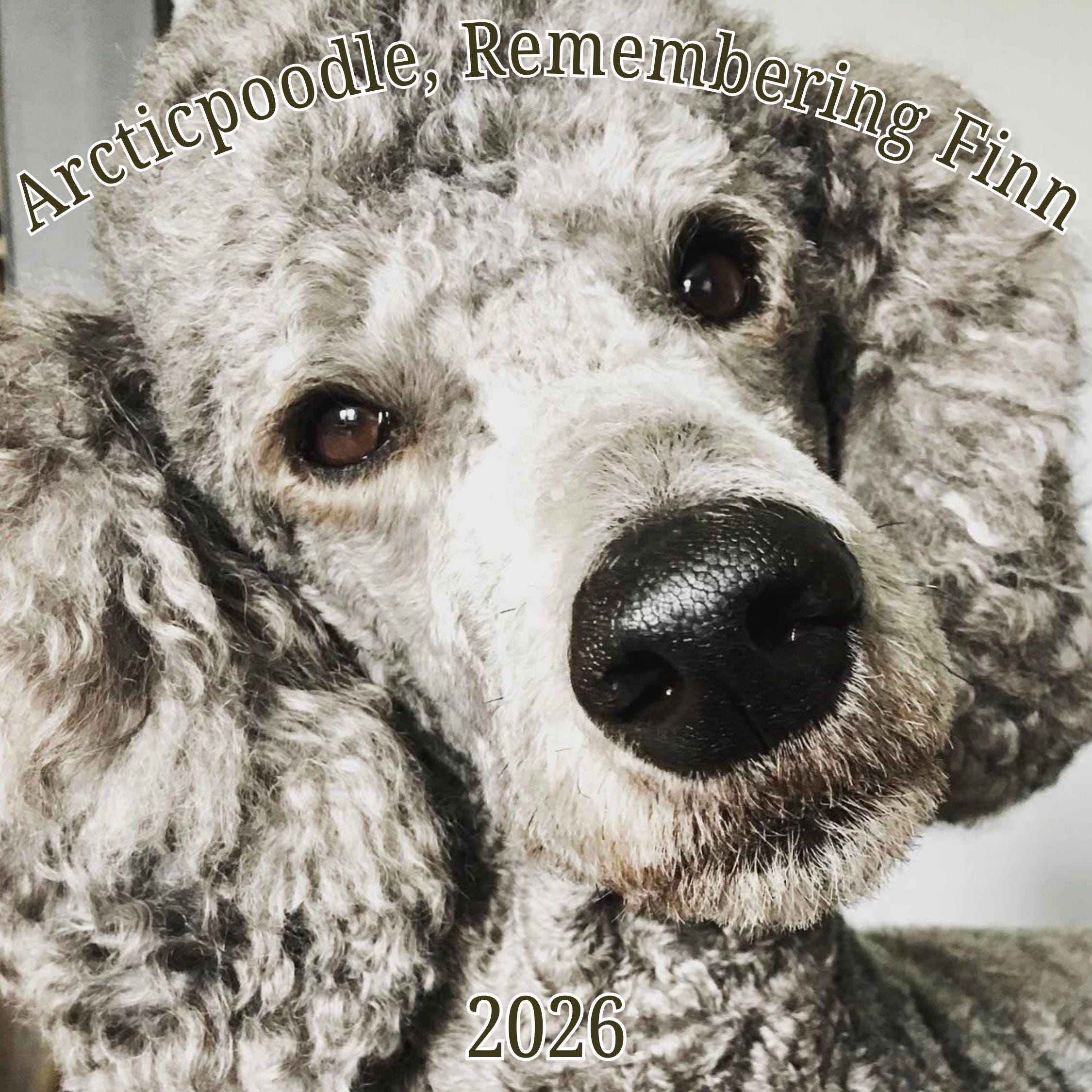 Poodle Gifts 60+ Gift Ideas for 2025
