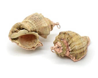 1 - REAL Large Round Shell with Copper Metal Plated Trim Pendant Sea Shell Pendant Clam Shell Pendant Charm Jewelry Supplies (R015)