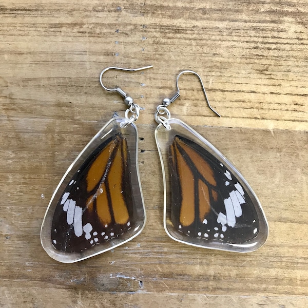 REAL Butterfly Wing Preserved in Resin Earrings - Silver earring Hooks - Double Sided Clear Resin Jewelry Pendant Real Insect Wings (BD065)