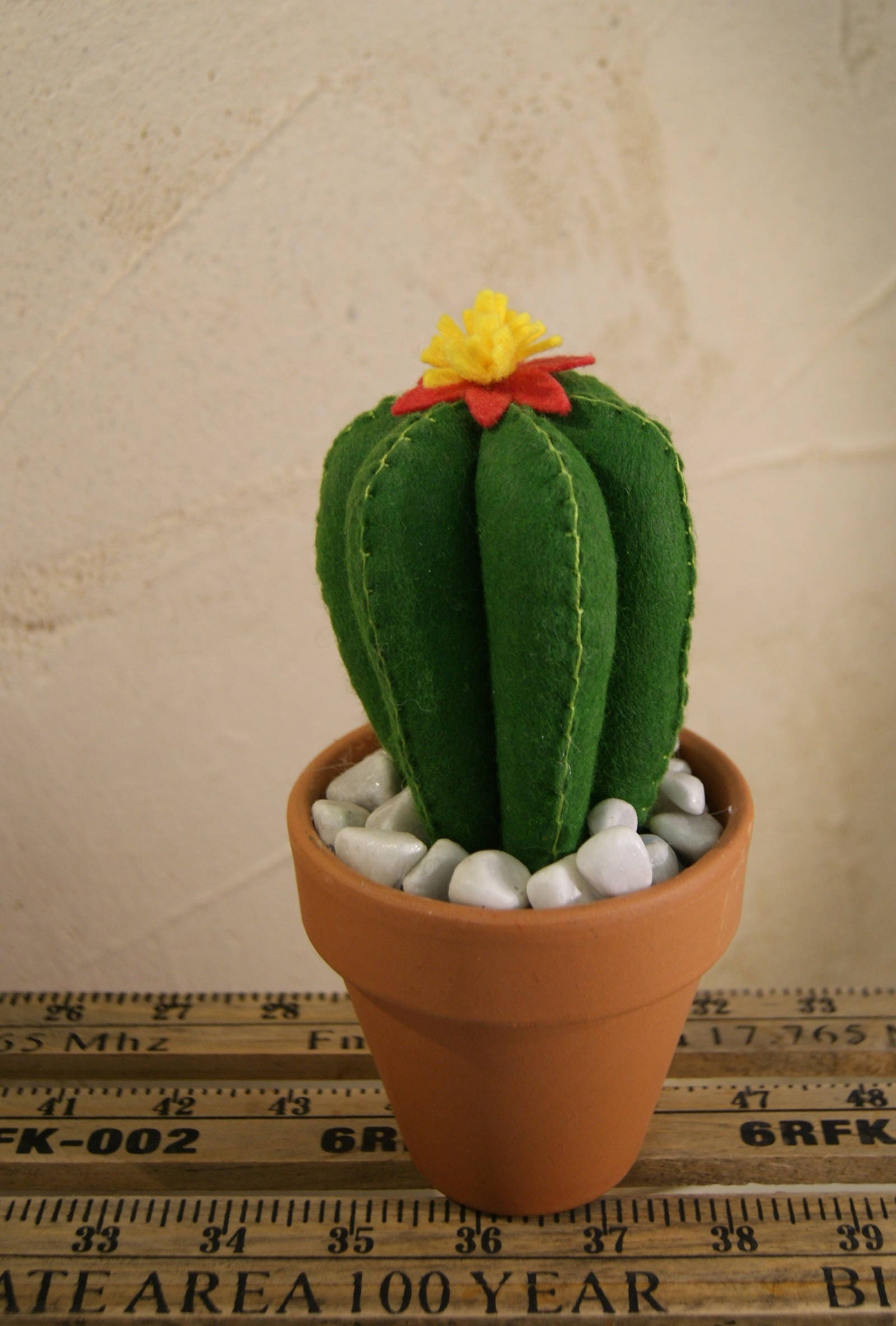 Cactus Cylindre - Feutrine