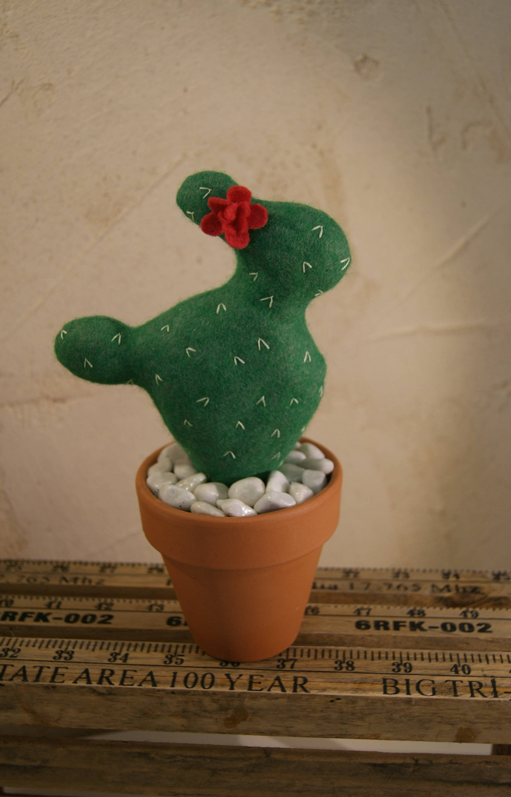 Cactus Raquette - Feutrine