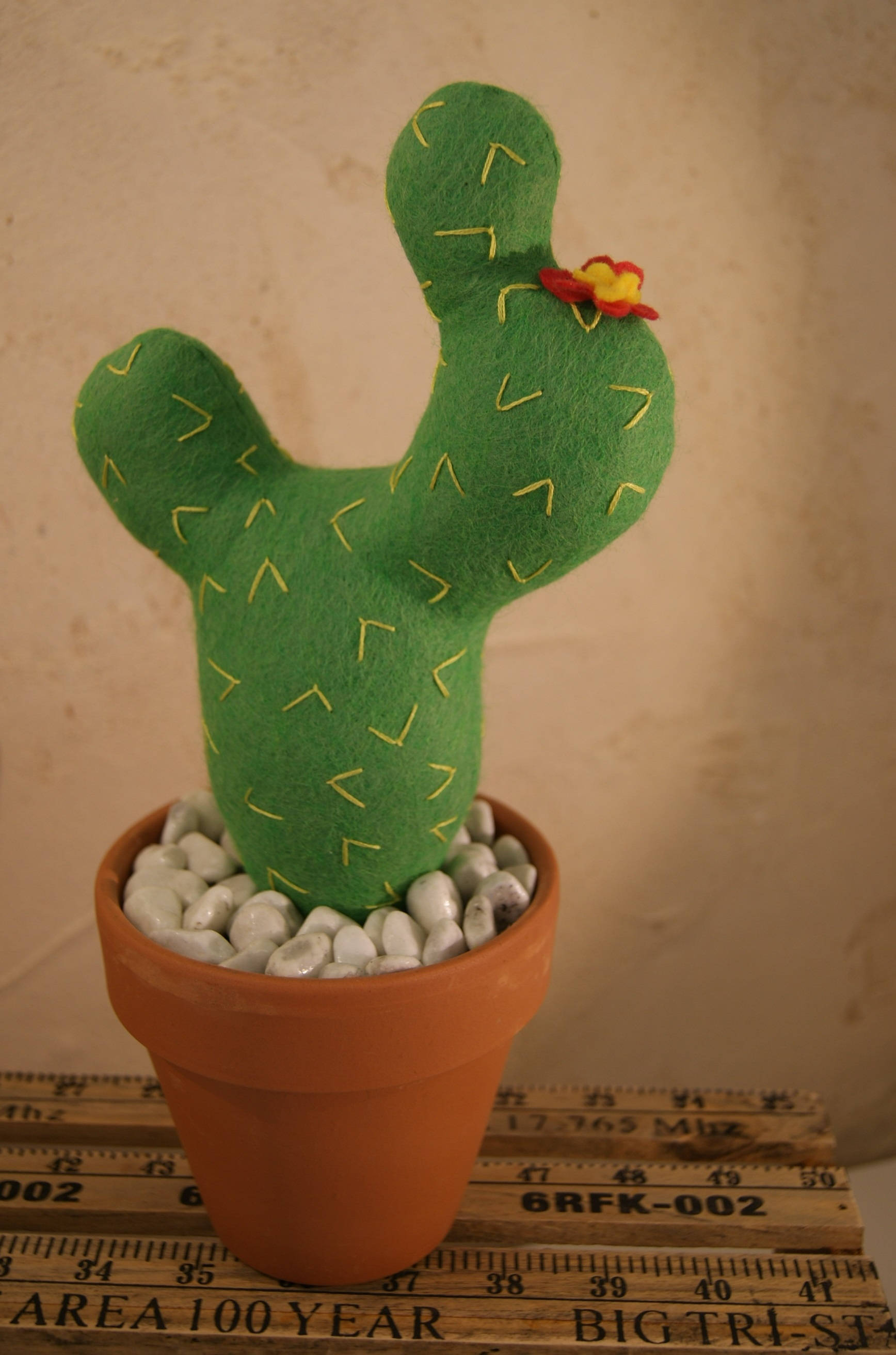 Cactus Raquette - Feutrine