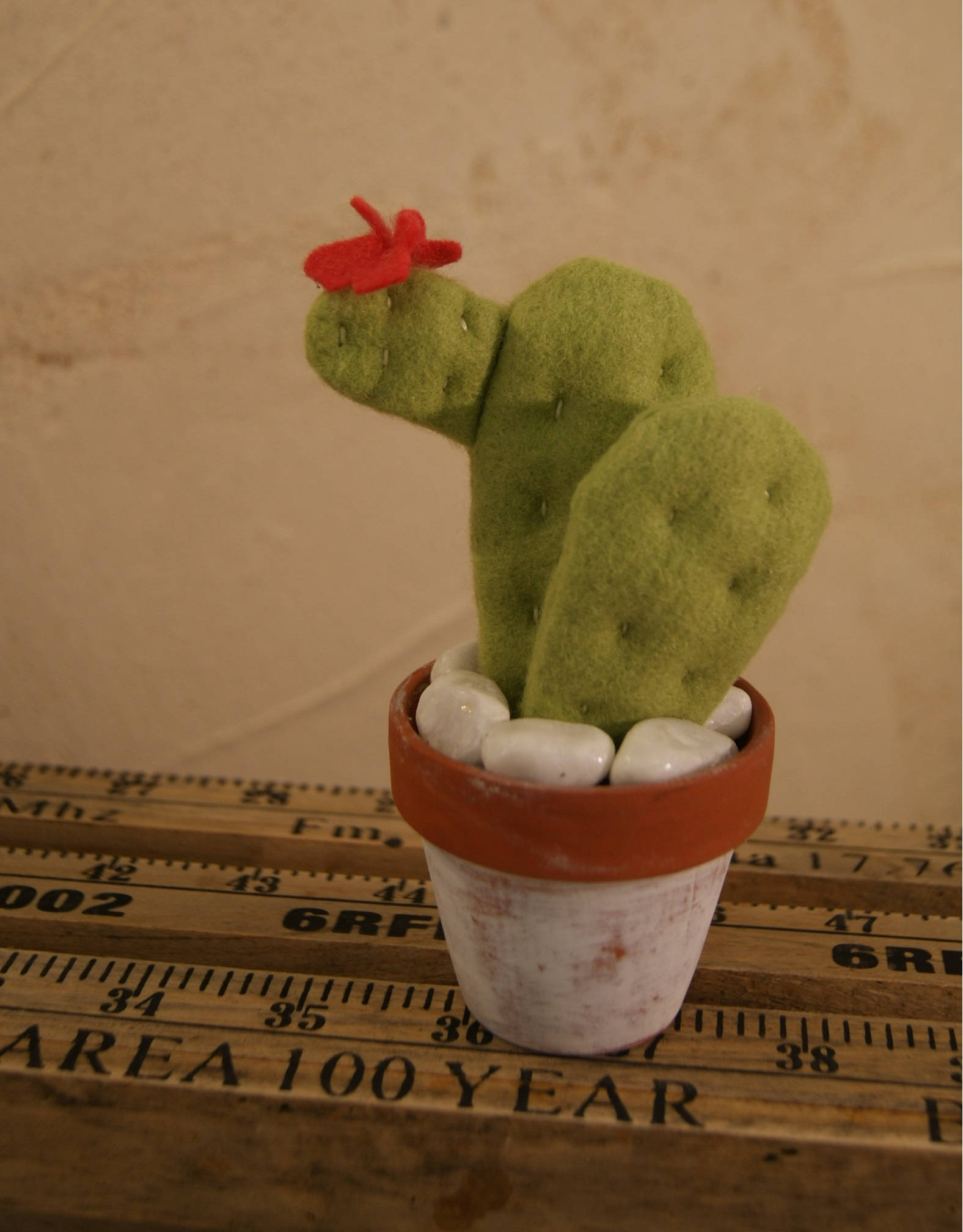 Cactus Raquette Plate - Feutrine