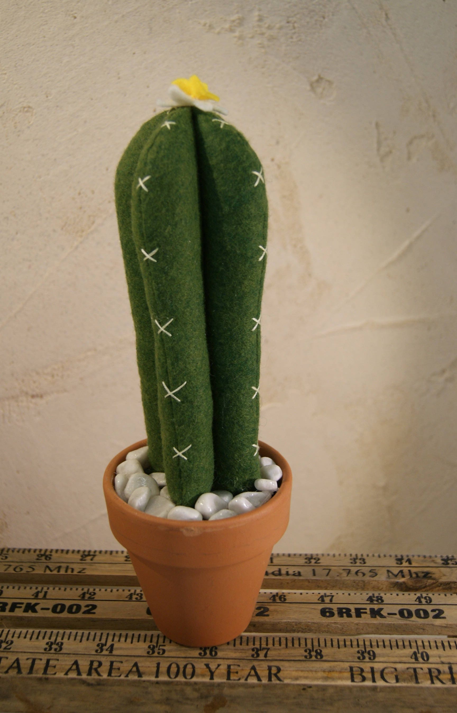 Cactus Chandelle - Feutrine