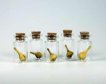 Mini Mahonia Spinning Top In Bottle - Picked At Random - Hand Crafted