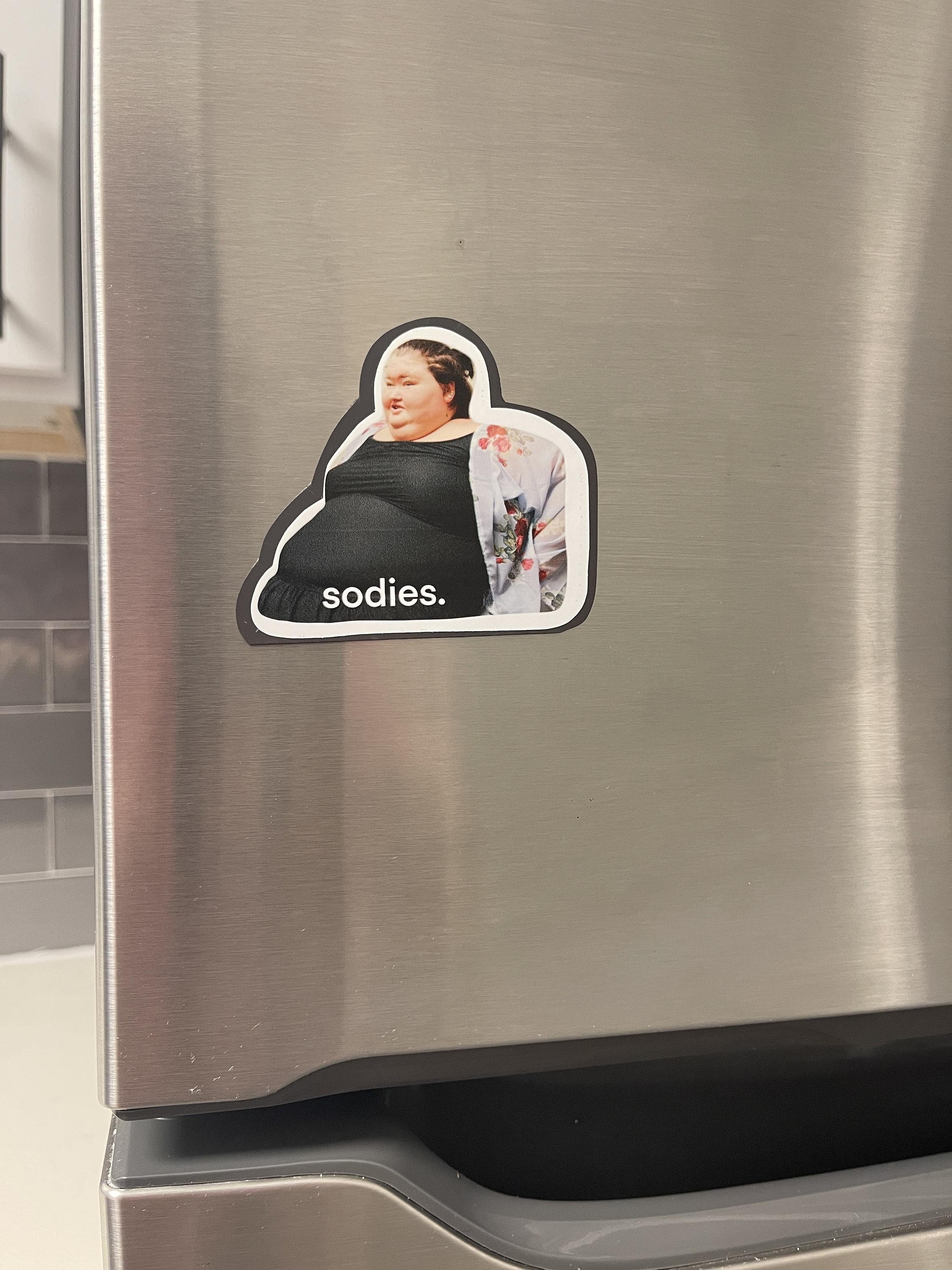 Amy Slaton magnet, 1000 lb sisters magnet, funny fridge magnet, sodies, TLC show, 1000 pound sisters, my 600 pound life, my bills are paid
