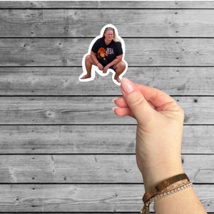 Trailer Trash Tammy Stickers/Magnets, Chelcie Lynn, Funny Stickers, Funny Fridge Magnets