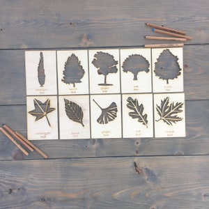 Large Wooden Tree Stencil Set / Leaf Stencil Set / Tree Stencils / Leaf Stencils / Montessori education / Child wooden gift / wooden stencil image 5