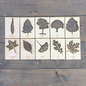 Large Wooden Tree Stencil Set / Leaf Stencil Set / Tree Stencils / Leaf Stencils / Montessori education / Child wooden gift / wooden stencil image 1