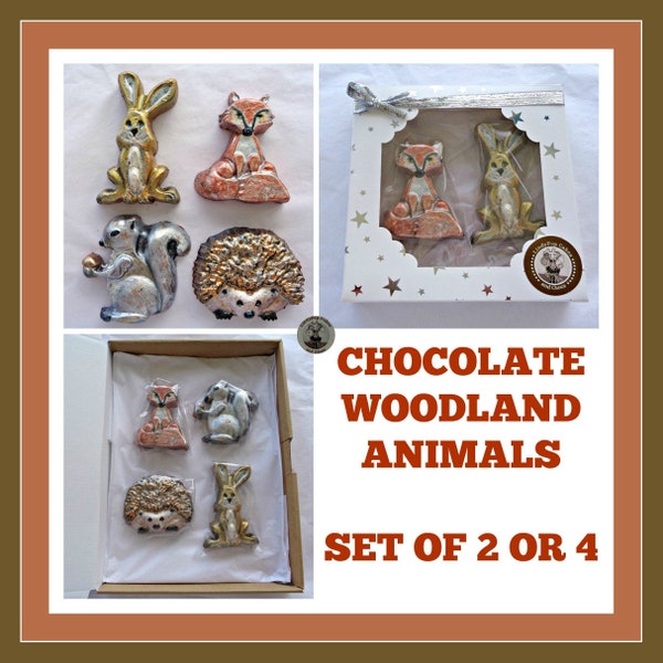Animal Chocolates/Hedgehog/Fox/Hare/Rabbit/Squirrel/Forest Animals/Nature Conservation/Wood land/Edible for Her/Kids Birthday/Child
