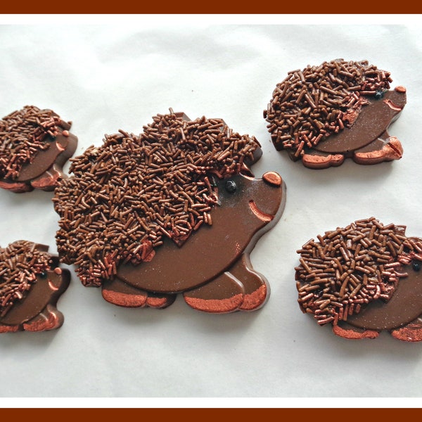 Hedgehog Gift Chocolate Hedgehog/Woodland Creature/Garden Animal/Nature/Wood/Edible Gift/Hedgehog Birthday/Chocolate Lollipop/Female/Kids