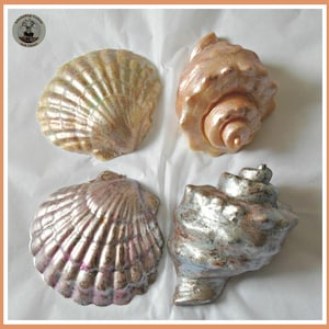 May include: Four decorative seashells made of cake. The shells are in various shapes and sizes, and are decorated with a pearlescent finish. The shells are arranged on a white background.