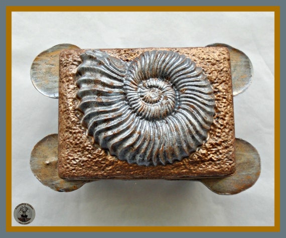Buy Fossil Gift Chocolate Fossil/ammonite Shell/edible Online in India -  Etsy