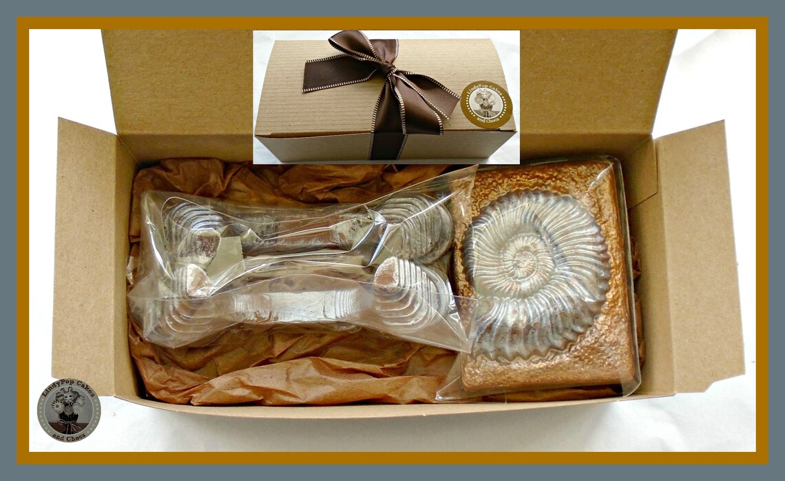 Fossil Gift Chocolate Fossil/ammonite Shell/edible Etsy UK