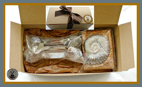 Fossil Gift Chocolate Fossil ammonite Shell edible Fossil spiral paleontologist geology geologist fossil Hunter collector men man women male Etsy Canada