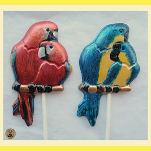 Parrot Gift/Macaw/Chocolate Parrot Lollipops/Tropical Bird/Exotic/Jungle Bird/Rainforest/Bird Lover/Edible Parrot/Pirates/Doctor Dolittle