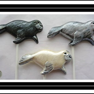 Seal Gift/Chocolate Seal/Sea Lion/Fur Seal/Sea Creature/Baby Seal/Arctic/Antartic/Frozen Ice/Polar/Loves Seals/Boys/Girls/Birthday Lollipop