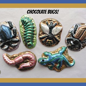 Chocolate Bugs/Edible Insects/Cake Topper Bugs/Pretend/Worm/Caterpillar/Beetle/Lizard/Fly/Fun Mens Gift/Boys Birthday/Joke Bugs/Husband/Son