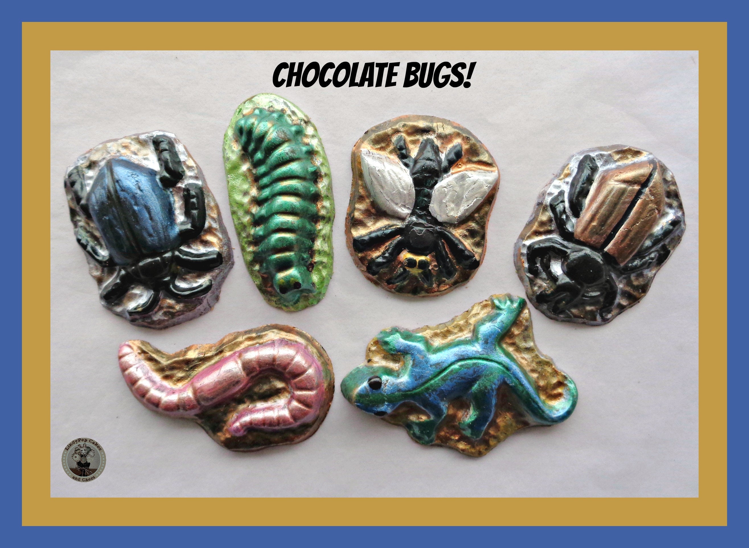 Chocolate Bugs/edible Insects/cake Topper Etsy UK