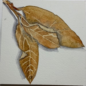 Little leaf number 2