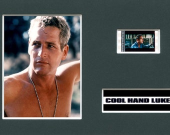 Cool Hand Luke (series b)- Single Cell Collectable