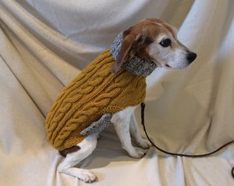 beagle sweater for dog