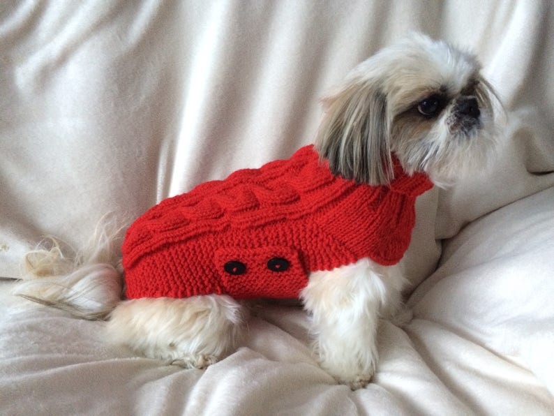 Petit pull de chien pull Shih Tzu pull caniche pull pour Etsy