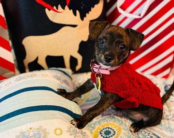 Fits 1-2lbs, XXXS Dog Sweater, XXXS Dog Coat, Tiny dog sweater, XXXS Dog Clothes, chihuahua Dog Coat, Chihuahua Sweater, small dog sweater