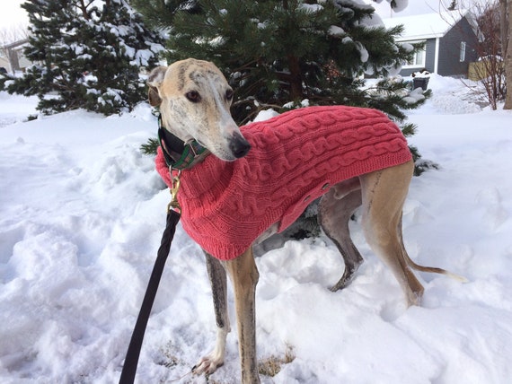 Greyhound Sweater Greyhound Coat Sighthound Coat Dog Etsy