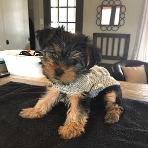 Fits 1-2lbs, XXXS Dog Sweater, XXXS Dog Coat, XXXS Dog Clothes, Tiny dog sweater, chihuahua Dog Coat, Chihuahua Sweater, xs Dog Clothes