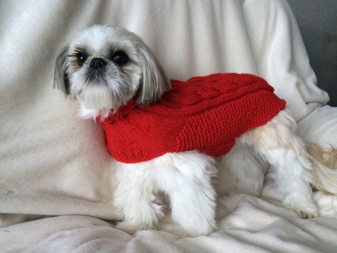 Pull pour petit chien, pull Shih Tzu, pull caniche, pull pour chien, petit manteau pour chien