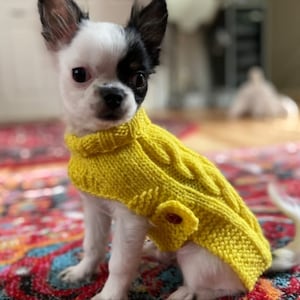Fits 3-5lbs, XXS Dog Sweater, XXS Dog Coat, XXS Dog Clothes, chihuahua Dog Coat, Chihuahua Sweater, xs Dog Clothes, Tiny dog sweater