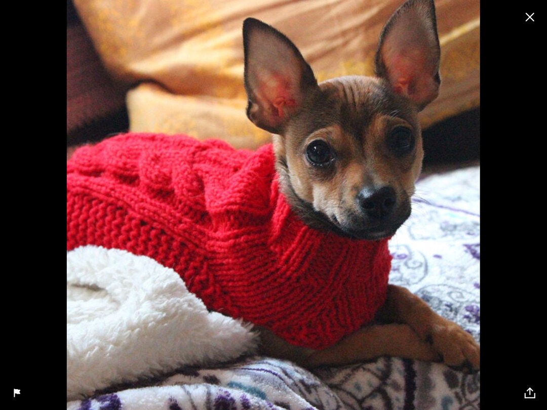 Xxs Dog Sweater
 XXS Dog Sweater XXS Dog Coat XXS Dog Clothes Chihuahua Dog Etsy