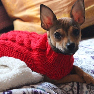 Fits 3-5lbs, XXS Dog Sweater, XXS Dog Coat, XXS Dog Clothes, chihuahua Dog Coat, Chihuahua Sweater, xs Dog Clothes, small dog sweater