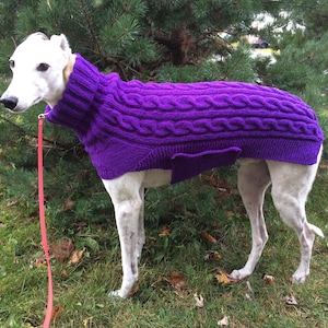 May include: A white dog wearing a purple cable knit sweater. The dog is standing on green grass and is wearing a red leash.