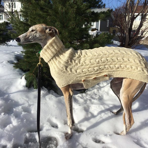 Small Greyhound Sweater, Greyhound Sweater, Greyhound Coat, Galgo Sweater, Galgo Coat, Dog Sweater, Large Dog Sweater