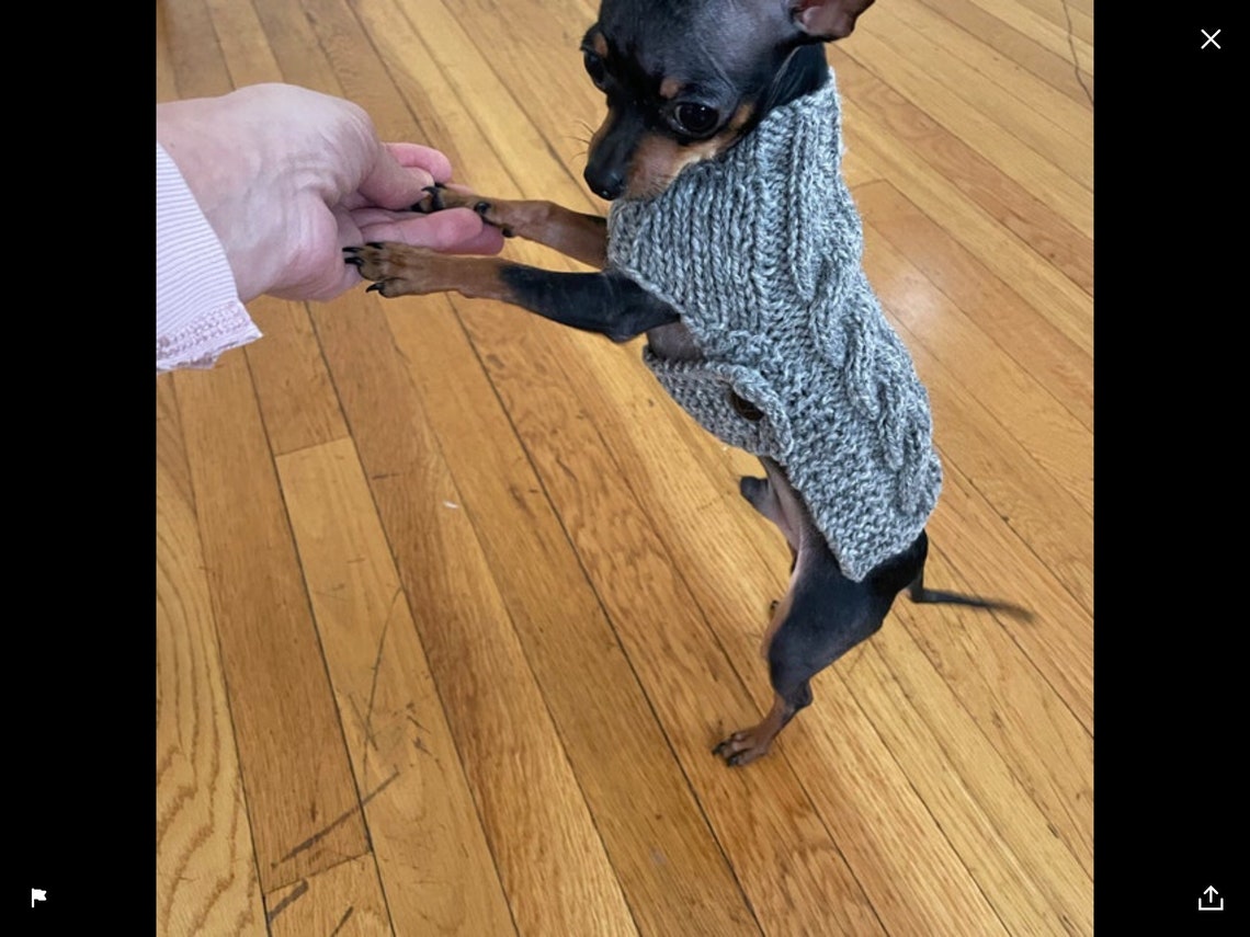 XXXS Dog Sweater XXS Dog Coat XXS Dog Clothes Tiny Dog Etsy