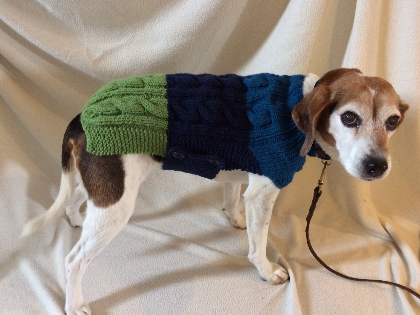 Medium Dog Sweater Dog Clothes Dog Coat Beagle Dog Sweater Etsy UK