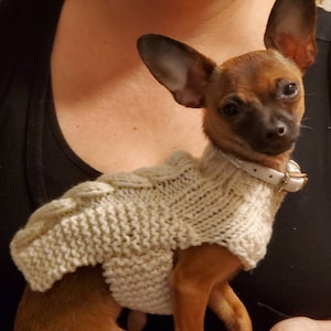 XXXS Dog Sweater, XXS Dog Coat, XXS Dog Clothes, Tiny Dog Sweater