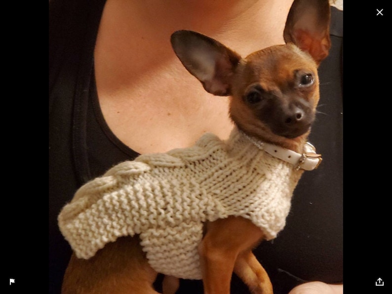 XXXS Dog Sweater XXS Dog Coat XXS Dog Clothes Tiny dog Etsy