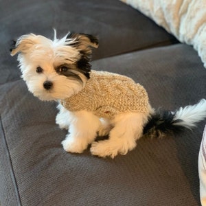 Fits 1-2lbs, XXXS Dog Sweater, XXXS Dog Coat, XXXS Dog Clothes, Tiny