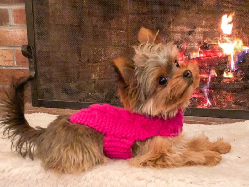 XXXS Dog Sweater XXS Dog Coat XXS Dog Clothes Tiny Dog Etsy