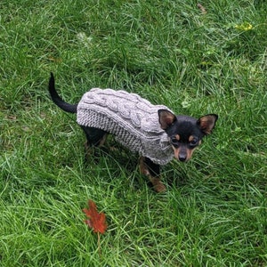 Fits 3-5lbs, XXS Dog Sweater, XXS Dog Coat, XXS Dog Clothes, chihuahua Dog Coat, Chihuahua Sweater, xs Dog Clothes, small dog sweater