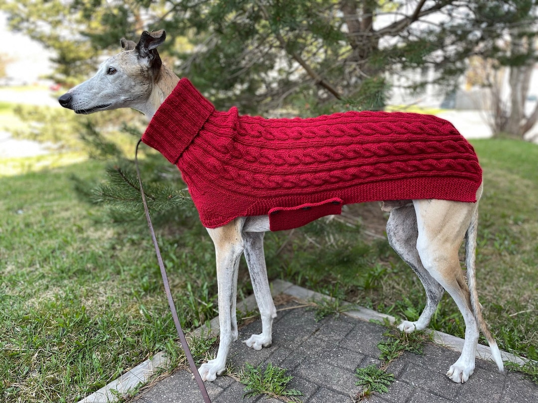 Greyhound Sweater, Greyhound Coat, Galgo Sweater, Sighthound Coat, Dog