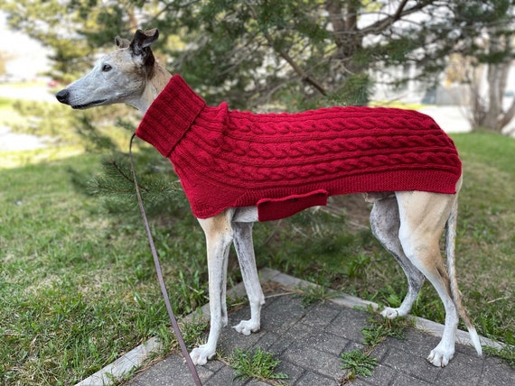 Pull levrier manteau levrier pull Galgo manteau levrier pull pour chien pull pour gros chien pull pour chien en laine pull pour chien en tricot Etsy France