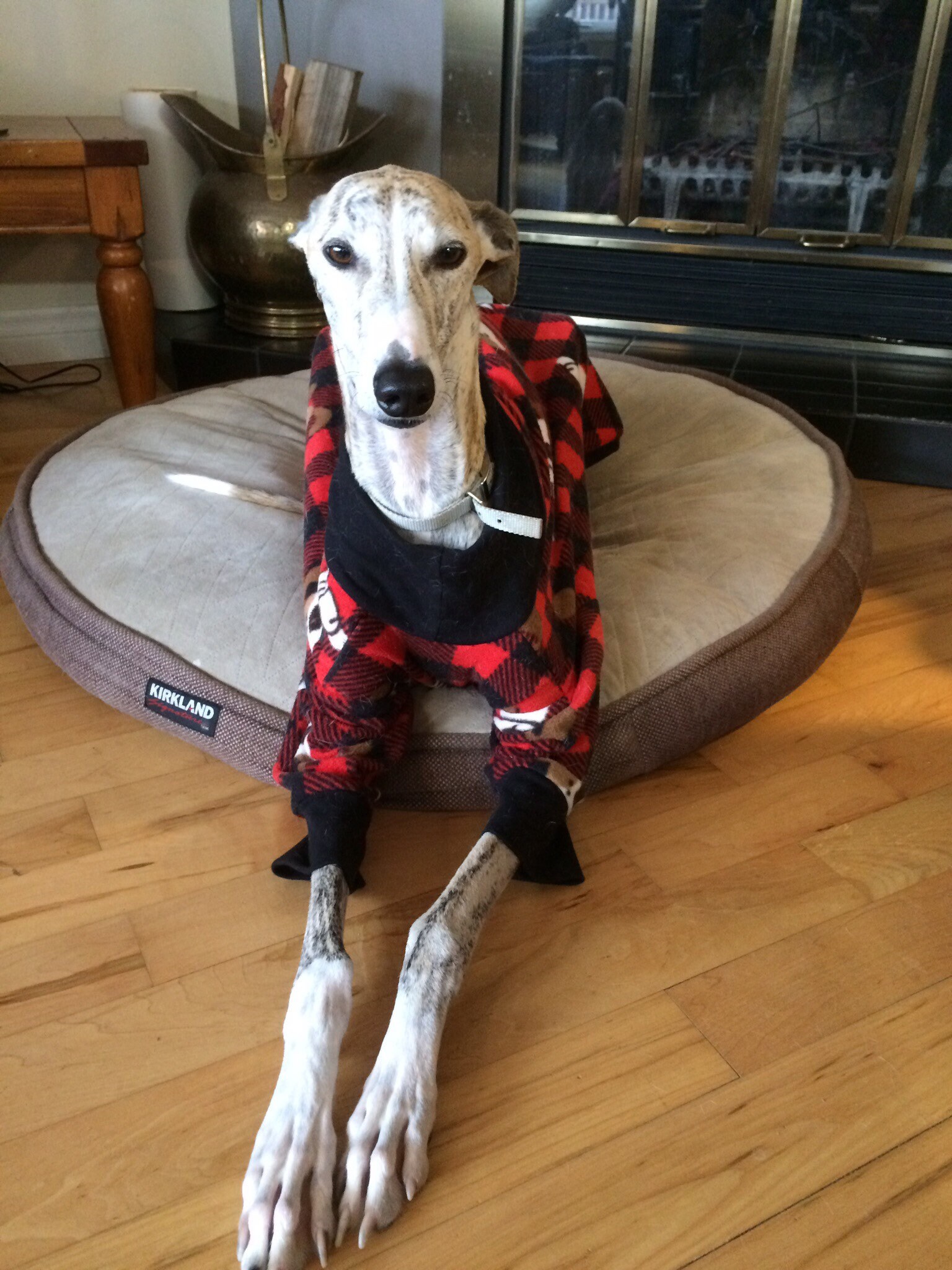 Large Greyhound Fleece Pajamas Greyhound Pajamas Greyhound Etsy