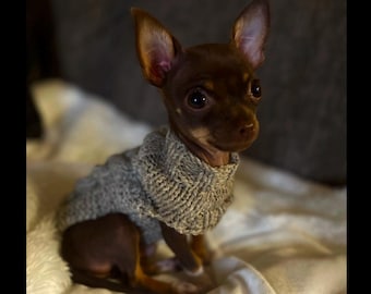 Fits 1-2lbs, XXXS Dog Sweater, Tiny dog sweater, XXXS Dog Coat, XXXS Dog Clothes, chihuahua Dog Coat, Chihuahua Sweater, xs Dog Clothes