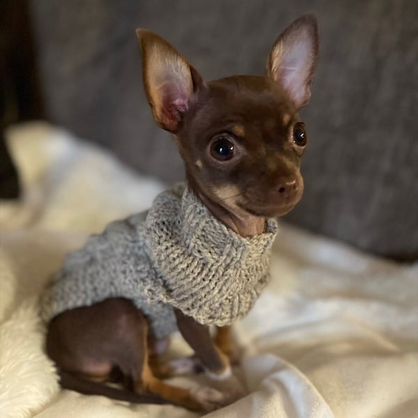 Pull pour chien XXXS, manteau pour chien XXS, vêtements pour chien XXS, petit pull pour chien, manteau pour chien chihuahua, pull chihuahua, vêtements pour chien xs, petit pull pour chien