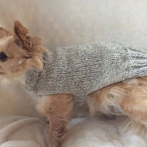 Fits 2-3lbs, XXXS Pullover, XXXS Dog Sweater, Chihuahua Sweater, small breed dog clothes, chihuahua coat, xs dog sweater, xs dog clothes