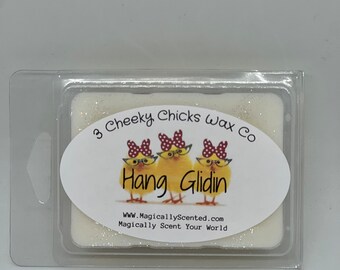 Hang Glidin', Wax Melts,Wax Tarts, Disney Inspired, Epcot, Disney Ride,Disney Scents, Home Fragrance